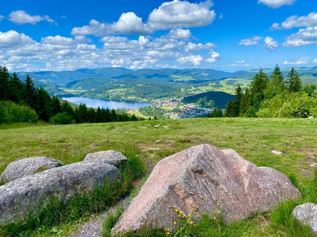Gaestehaus Steiert Fewo Kuhbergblick Lenzkirch Zewnętrze zdjęcie
