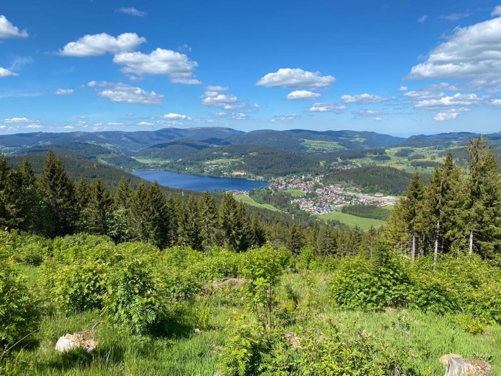 Gaestehaus Steiert Fewo Kuhbergblick Lenzkirch Zewnętrze zdjęcie